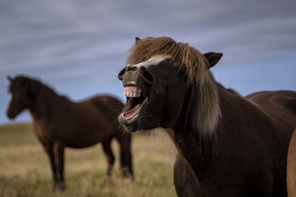 Photograph by Георгий Бычковский
