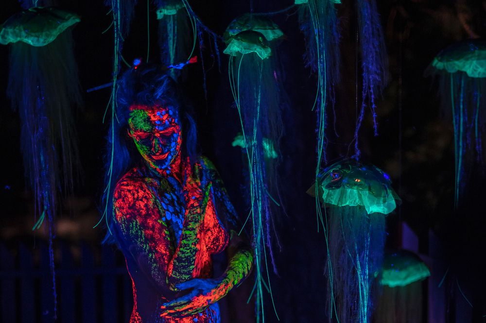 Photograph by Žaneta Bytautiene