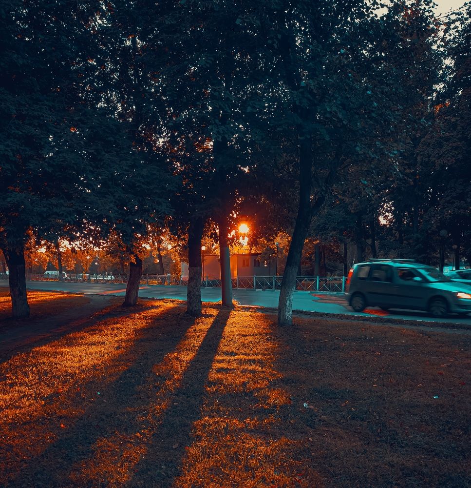 Photograph by Юлия Реутова