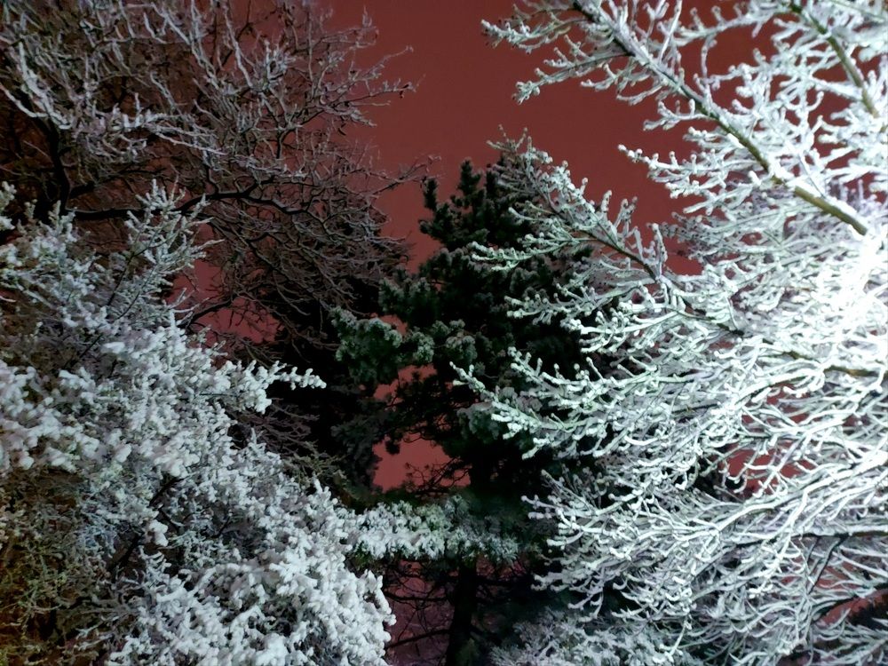 Photograph by Blagoja Mojsoski