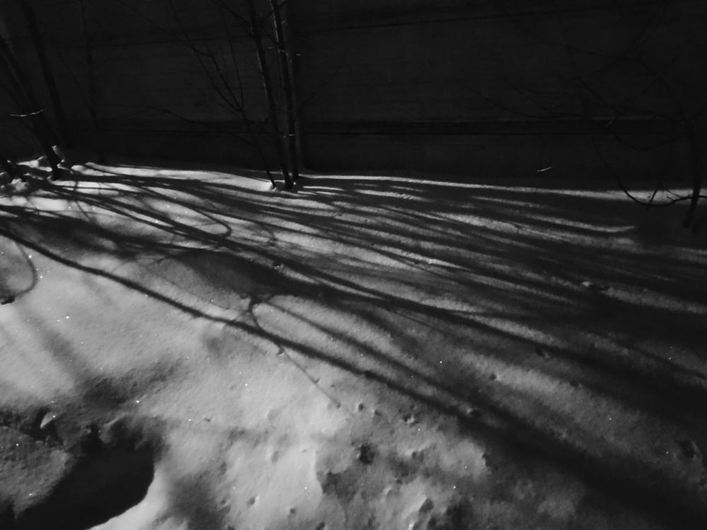 Photo #8578562