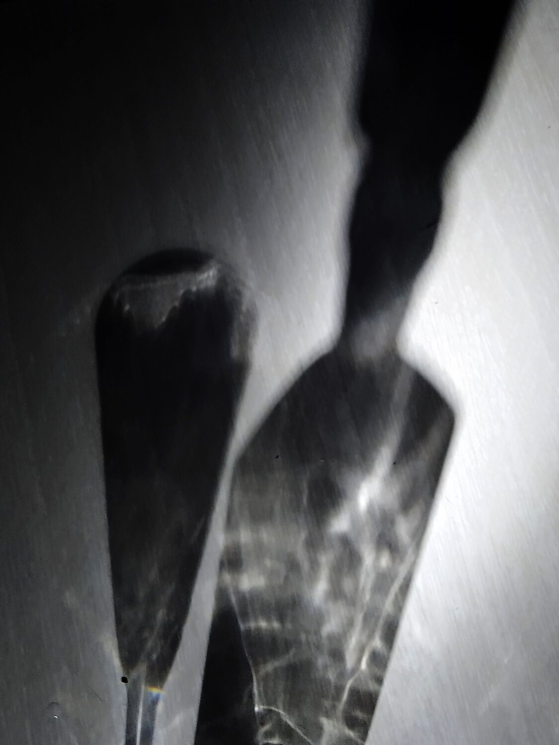 Photo #8578563