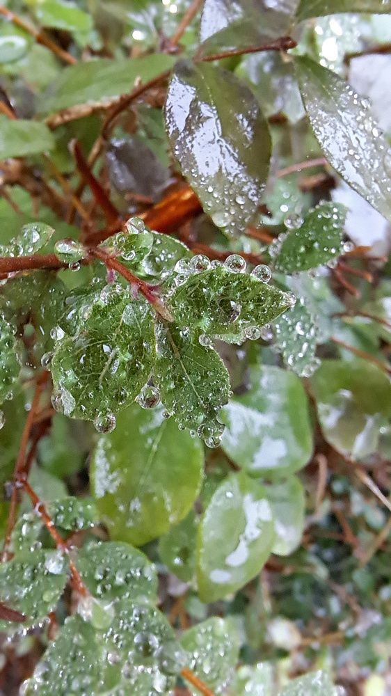 Photograph by Мелетян Наталья