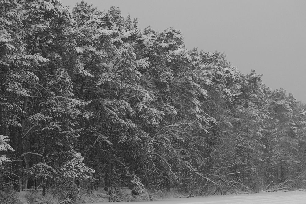 Photograph by Марина Душевина