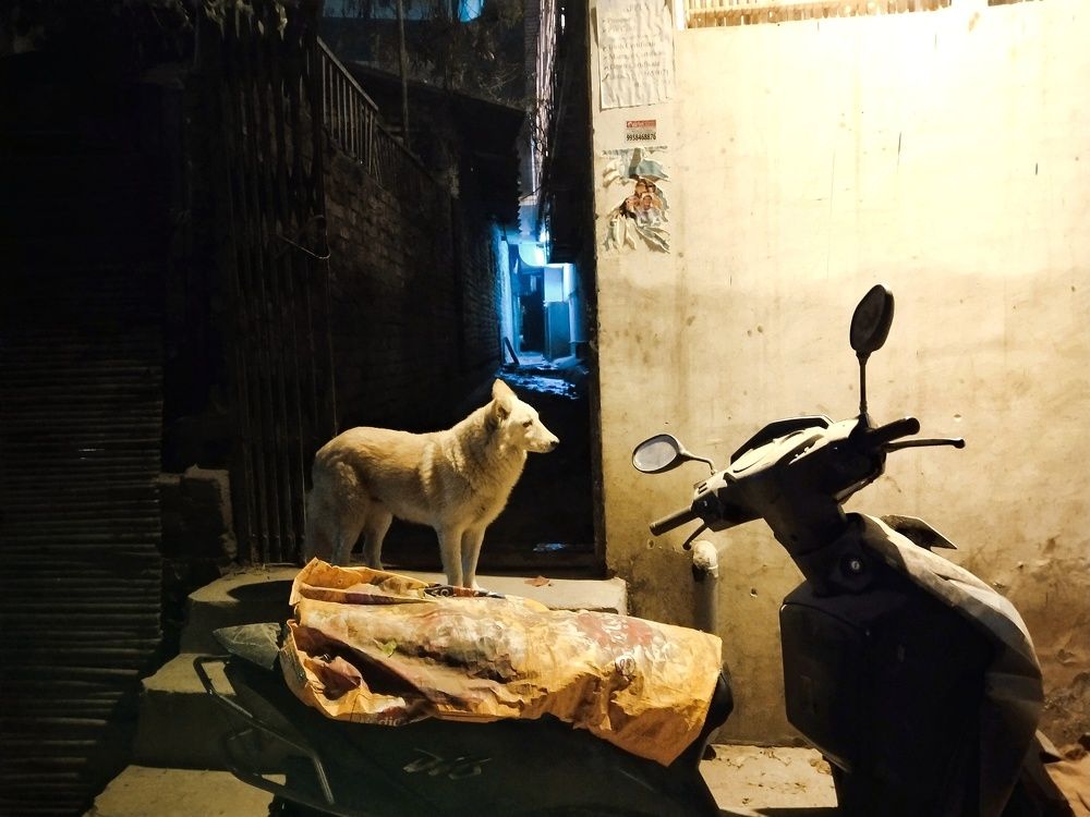 Photo #8578641