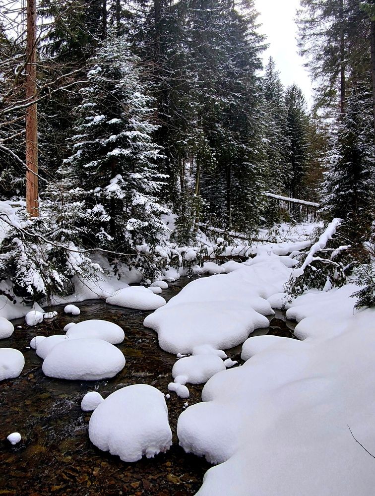 Photograph by Инна Макарчук