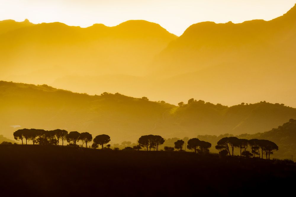 Photograph by Francisco José López Fernández
