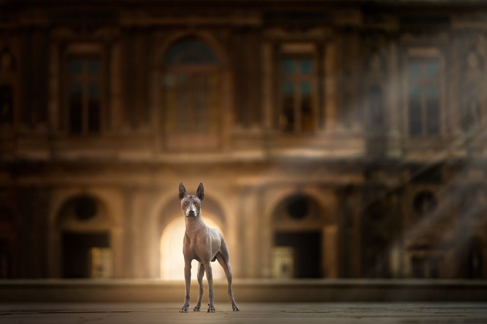 Photograph by Anna Grieta Freimane