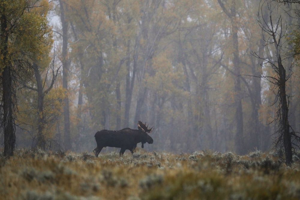 Photograph by Adeliene Lohman