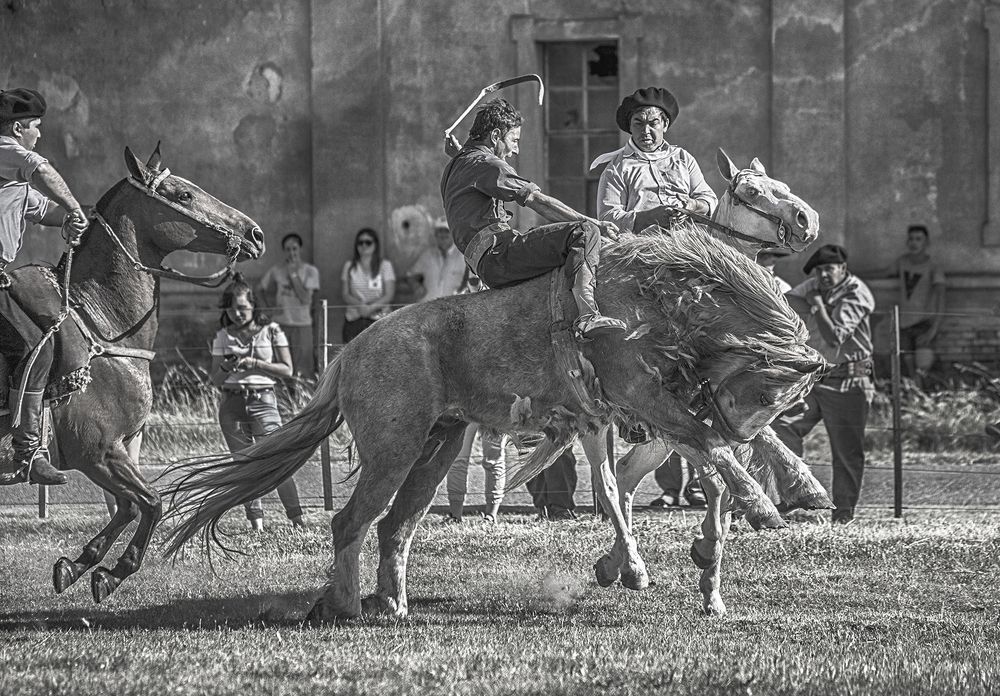 Фотография автора Marina