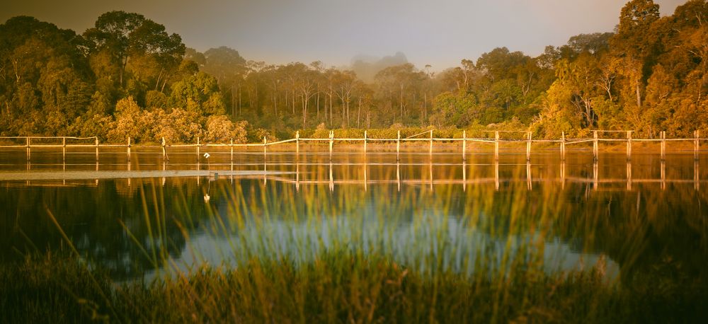 Фотография автора John Bernard Triumfante