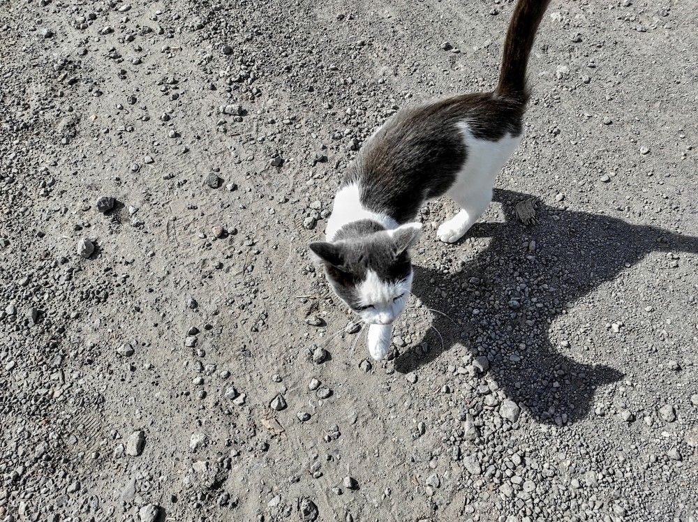 Photograph by Ирина Саттарова