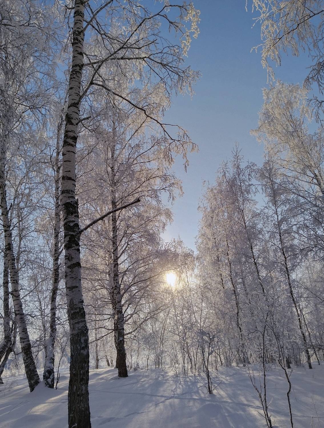 Photo #8578835