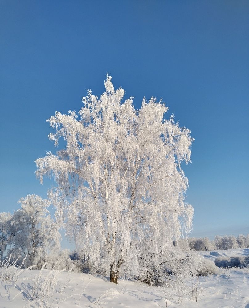 Сказочная зима