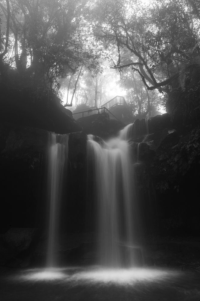 Photograph by Saurav Kumar Boruah