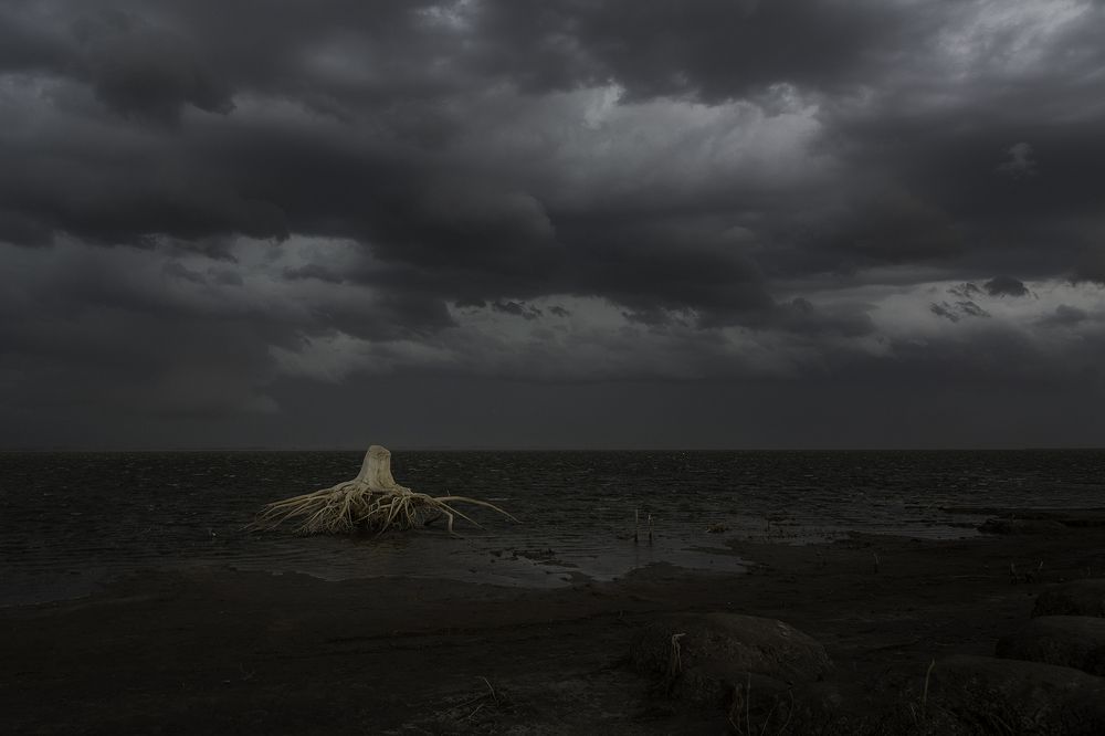 Photograph by Ana Noli