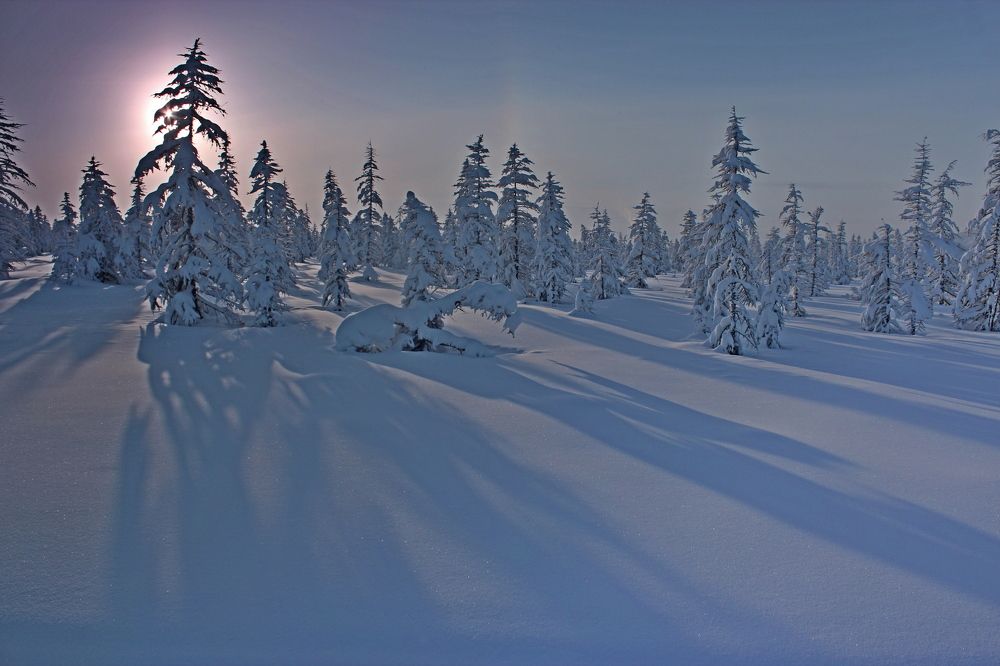 Photograph by Александр Велигура