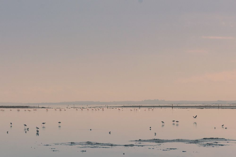 Photograph by Ana Noli