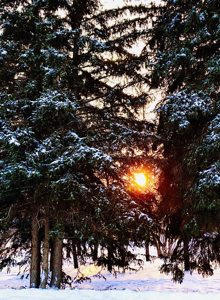 Фотография автора Александр Заикин