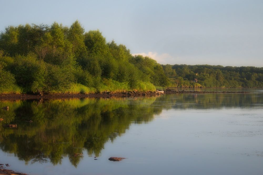 Photograph by Елена Ласун