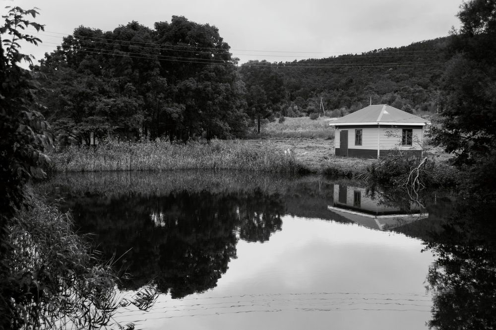 Photograph by Елена Ласун