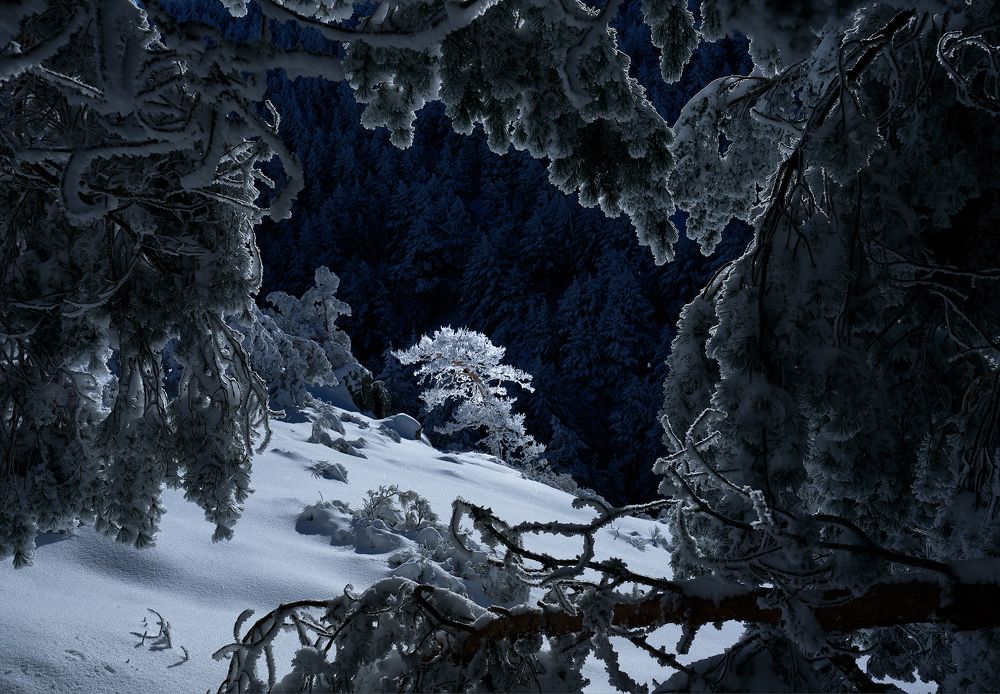 Photograph by Oscar Lata