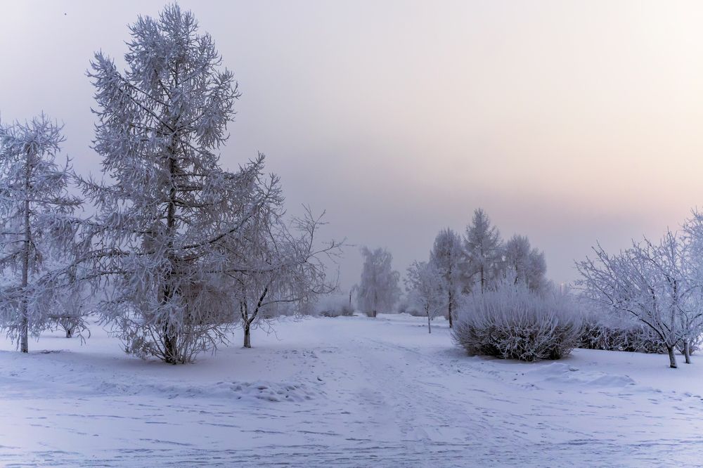 Photograph by Александр Пургин