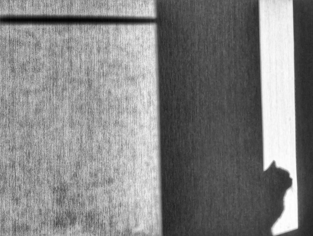 Photograph by Дмитрий Одинцов