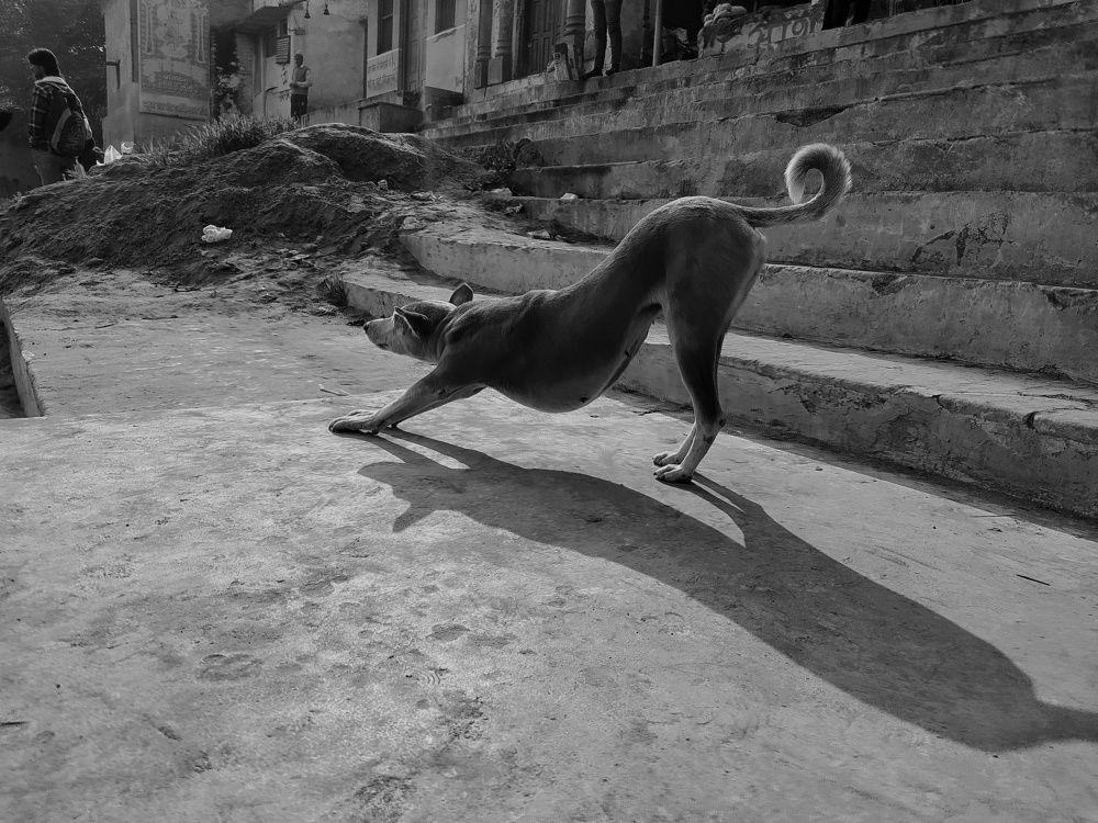 Photograph by Himanshu Sharma