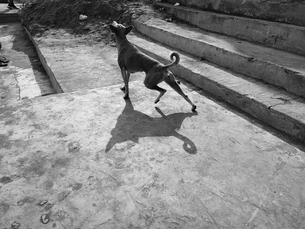 Photograph by Himanshu Sharma