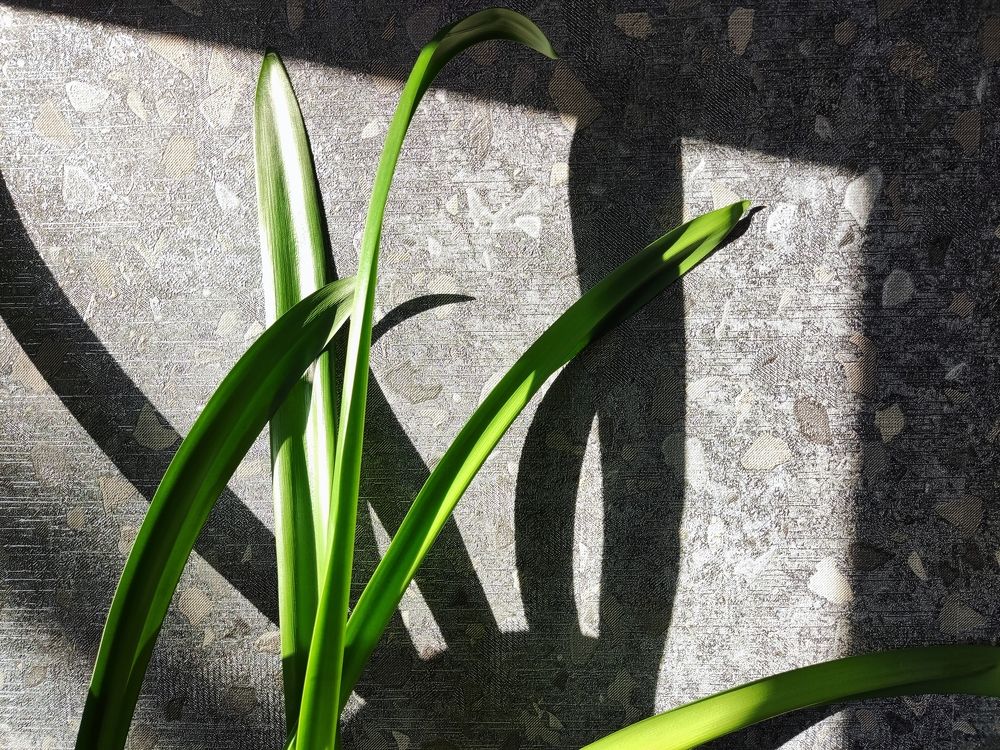 Photograph by Милорадов Илья