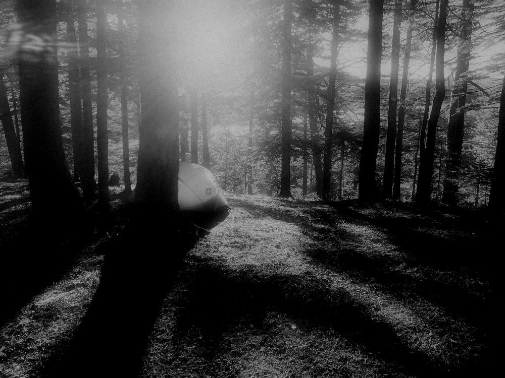 Фотография автора OXANA MARSOVA