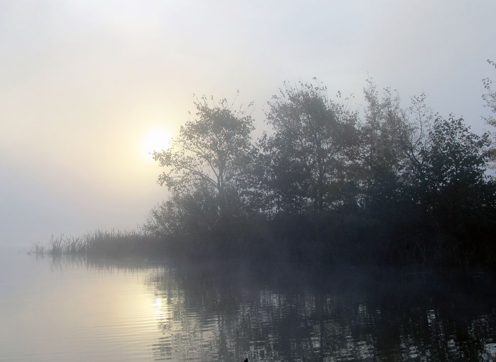 Photograph by Андрей