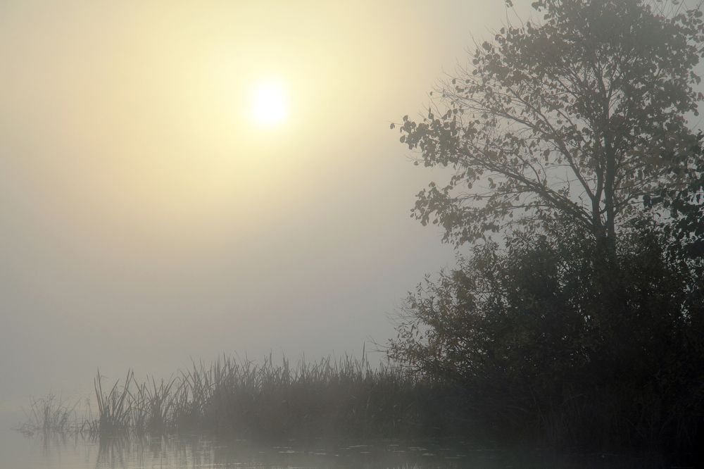 Photograph by Андрей