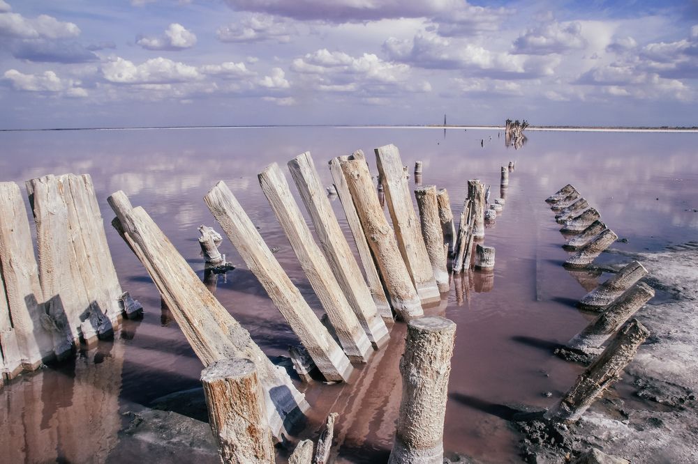 Фотография автора OXANA MARSOVA