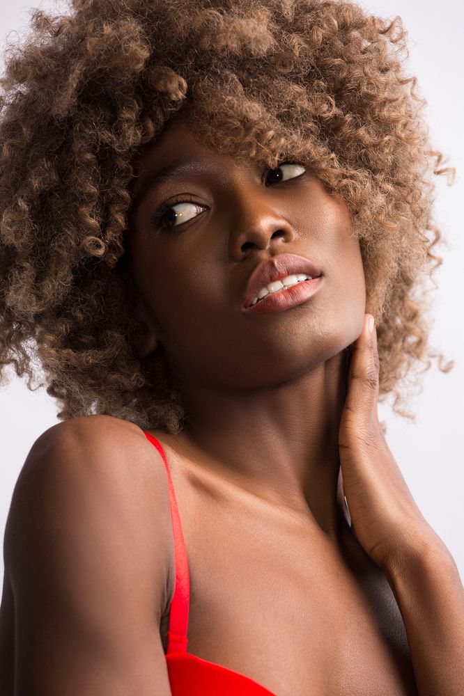 Модель из Конго