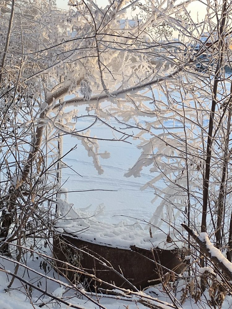 Photograph by Альфия