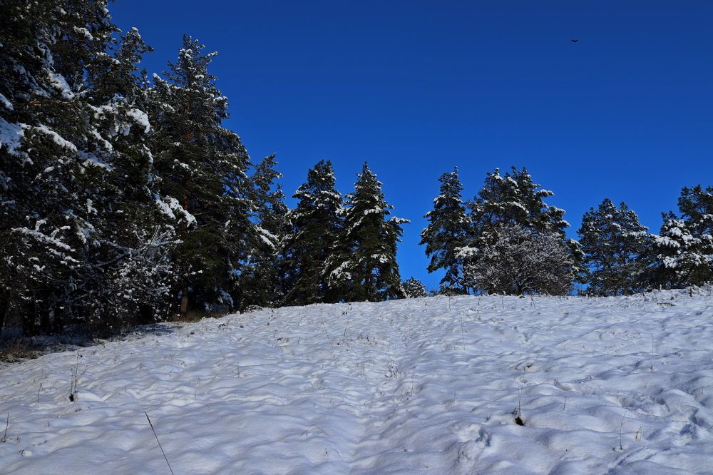 Photograph by Oleh Kapustin