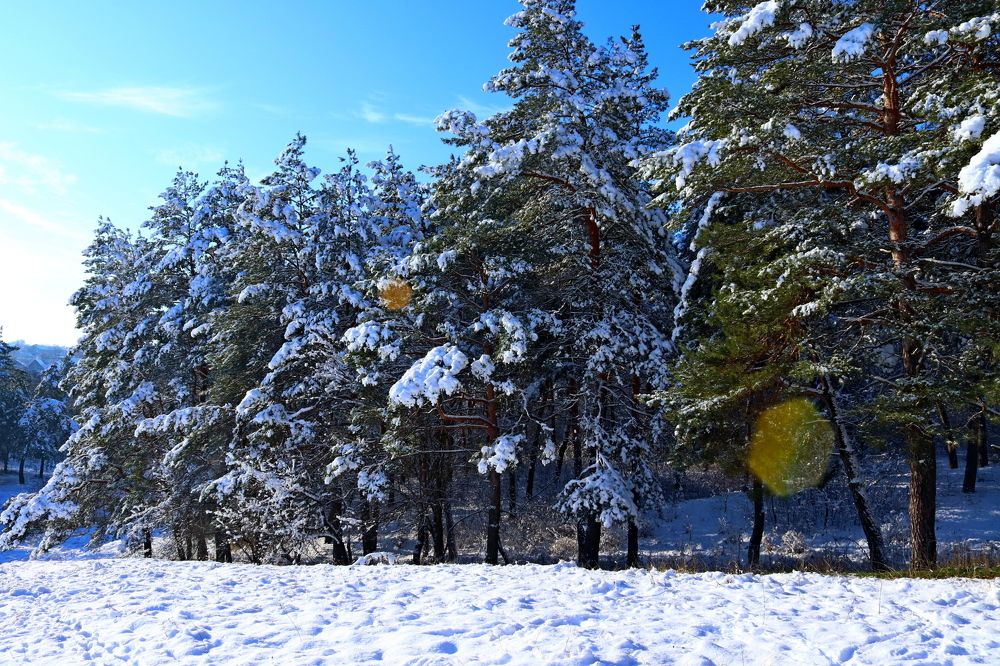 Photograph by Oleh Kapustin