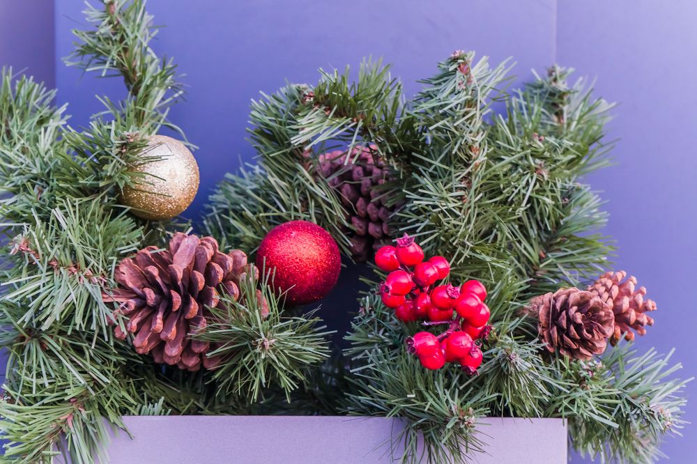 Photograph by Александр Пургин