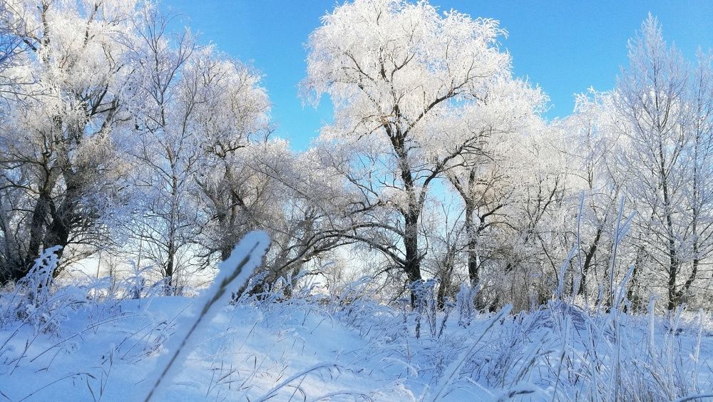 Photograph by Ирина Алпацкая