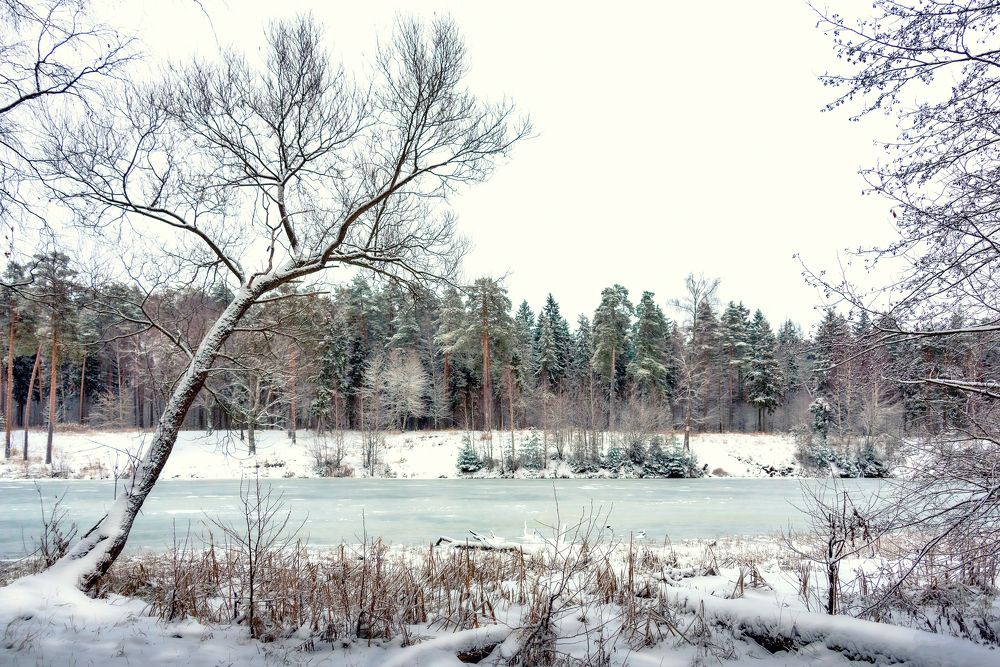 Photograph by Белевитин Михаил