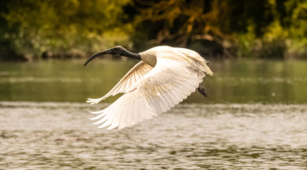 Photograph by Vijay Krishna