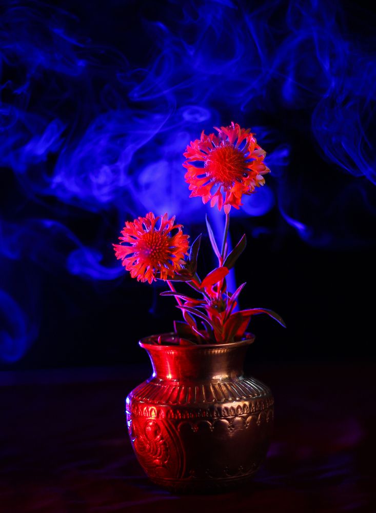 Фотография автора ANIL KUMAR DESHPANDE