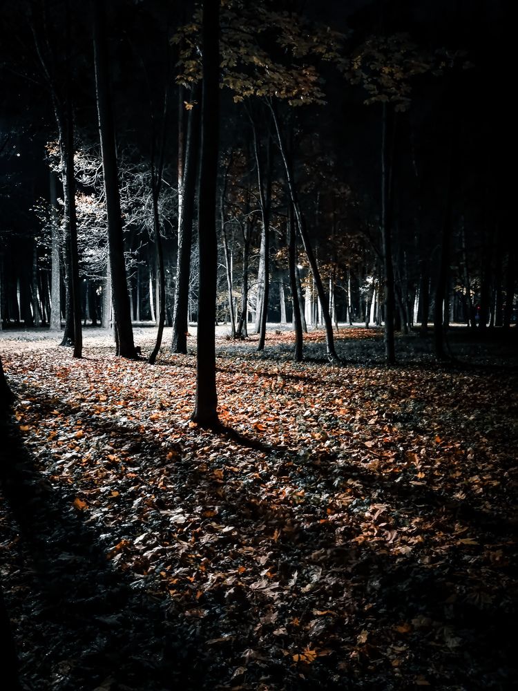 Photograph by Влад Апанасов