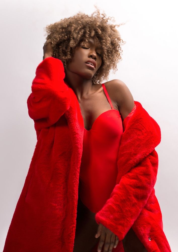 Модель из Конго