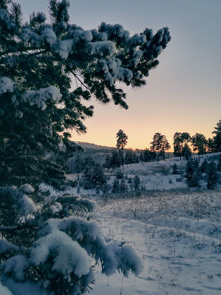 Photograph by Светлана Шелухеева