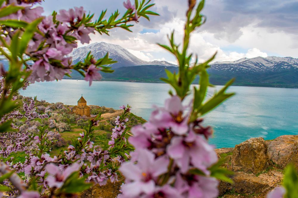 Photograph by NİYAZİ GÜRGEN