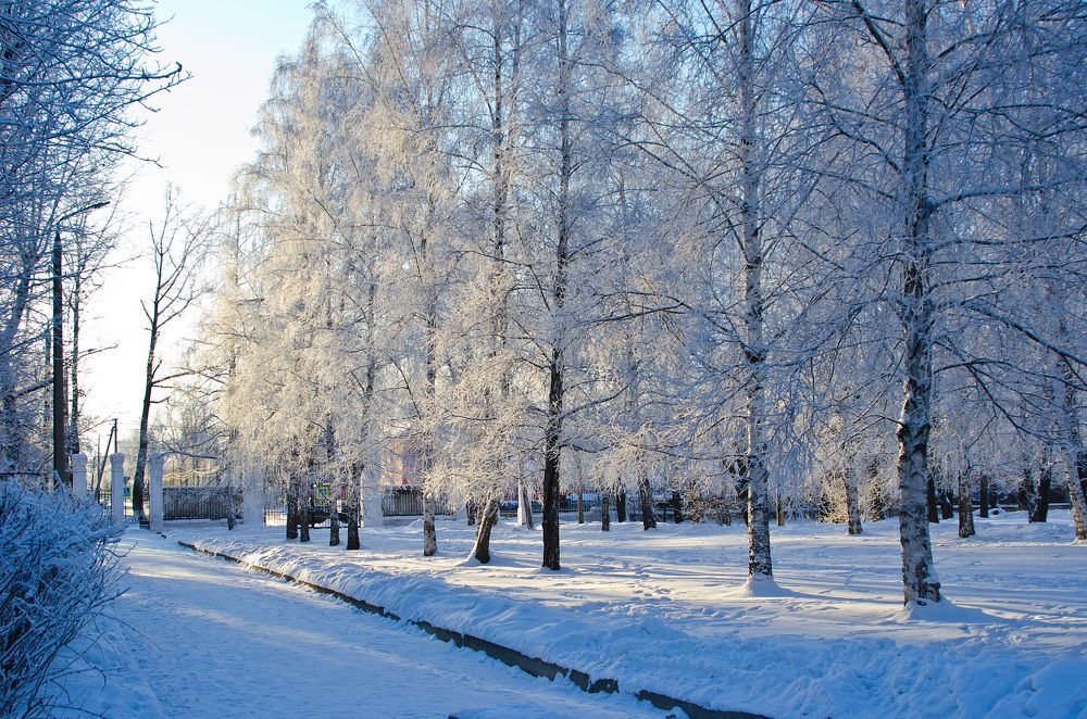 Photograph by Юрий Самойлов