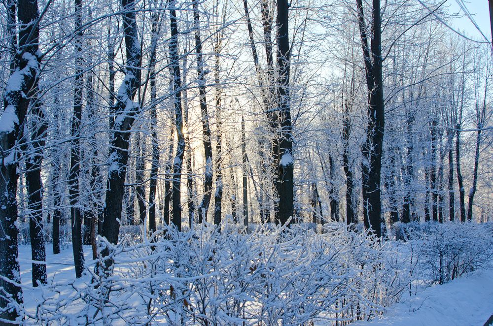 Photograph by Юрий Самойлов